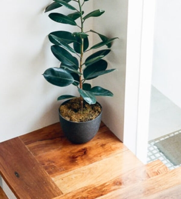 MASAK’tan Şeffaflık ve Denetim Hamlesi