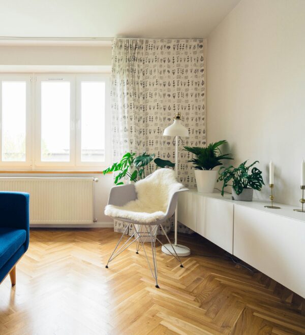 Rayiç Bedel Sorgulama